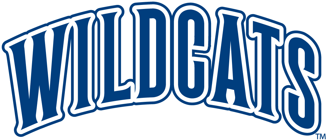 Villanova Wildcats 1996-Pres Wordmark Logo DIY iron on transfer (heat transfer)